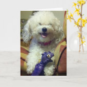 BECUZ "JE" IS 30. KAART (Gele Bloem)