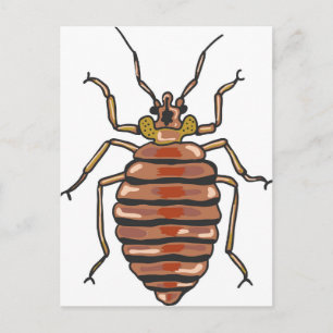 Bed Bug Sketch Briefkaart