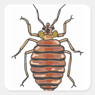 Bed Bug Sketch Vierkante Sticker