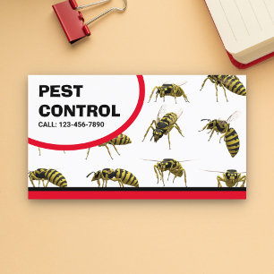 Bed Bugs Verwijdering Ongediertebestrijding Dienst Visitekaartje