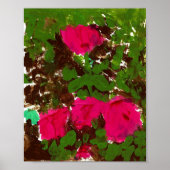 Bed of Roses  Poster (Voorkant)