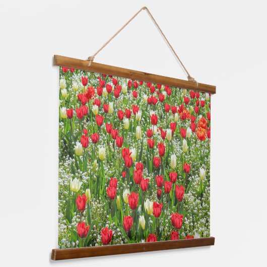 Bed of Tulips, Gorsedd Gardens, Cardiff, Wales. Hangend Wandkleed (Gebogen)