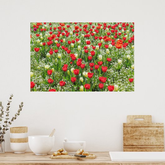 Bed of Tulips, Gorsedd Gardens, Cardiff, Wales. Poster (Keuken)