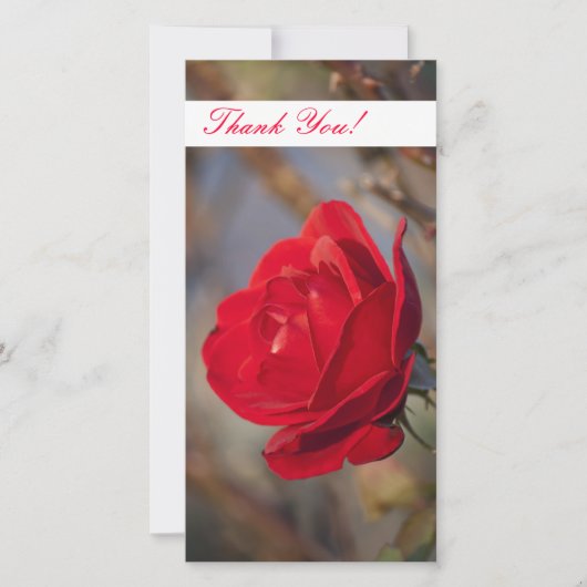 Bedankingsfotokaart Bedankkaart (Voorkant)
