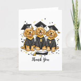 Bedankt Afstuderen Goldendoodle Dogs