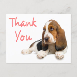 Bedankt Basset Hound Greeting Post Kaart
