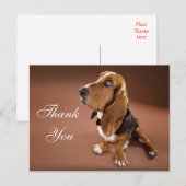 Bedankt Basset Hound Greeting Post Kaart (Voorkant / Achterkant)
