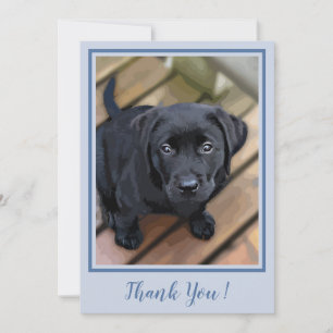 Bedankt Black Lab Puppy - Blauw Schattigee Labrado