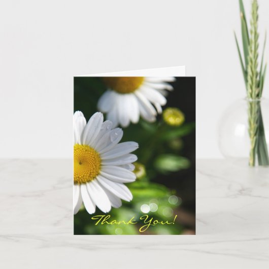 Bedankt Blank, Daisy (Voorkant)