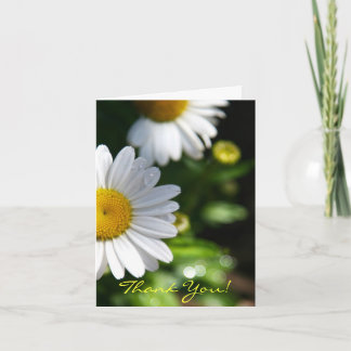 Bedankt Blank, Daisy