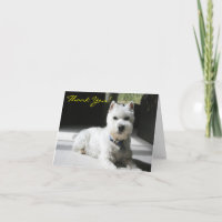 Bedankt, Blank, Mini Schnauzer