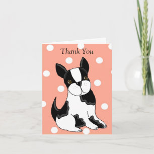 Bedankt Boston Terrier