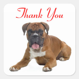 Bedankt Boxer Puppy Dog Greeting Sticker