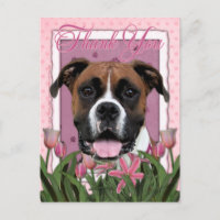 Bedankt - Boxer - Vindy