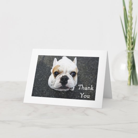 Bedankt Bulldog Wenskaart - Cadeauvers (Voorkant)