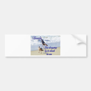 Bedankt_ Bumpersticker