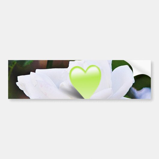 Bedankt Bumpersticker (Voorkant)