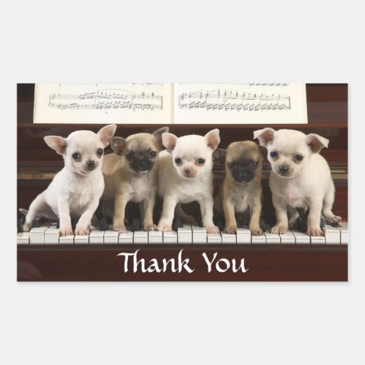 Bedankt Chihuahua Puppy Dogs Greeting Sticker (Voorkant)