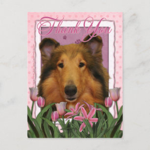Bedankt - Collie - Natalie Briefkaart