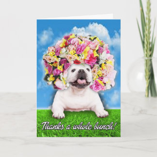 Bedankt een hele hoop