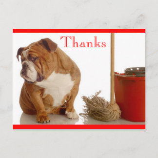 Bedankt English Bulldog Pup Groet Briefkaart