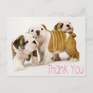 Bedankt English Bulldog Puppy Dogs Briefkaart