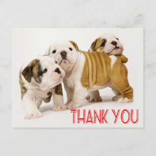 Bedankt English Bulldog Puppy Dogs Briefkaart