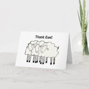 Bedankt "Ewe!"