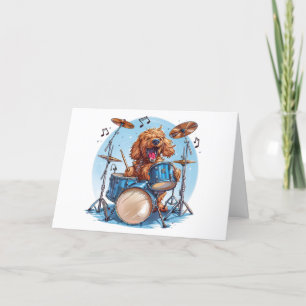 Bedankt Goldendoodle hond die drums speelt
