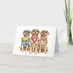 Bedankt Hawaiian Golden Retriever Dogs