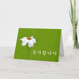 Bedankt in het Koreaans - witte madeliefje