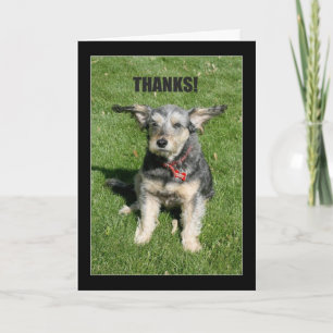 Bedankt! Je kindheid heeft me bijna weggeblazen. Bedankkaart