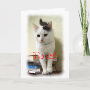 Bedankt, Leraar, Kitten op Boeken Kaart