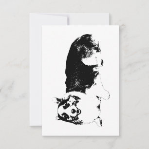 Bedankt Met Een Corgi Glimlach