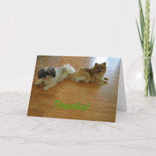 Bedankt om altijd mijn rug te hebben!