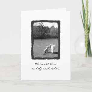 Bedankt om me te helpen!