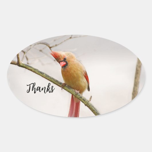 Bedankt ovaal sticker (Voorkant)