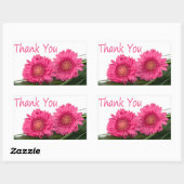 Bedankt Pink Gerbera Daisy Flower Floral Sticker (Vel)