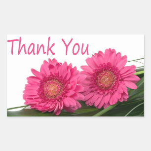 Bedankt Pink Gerbera Daisy Flower Floral Sticker