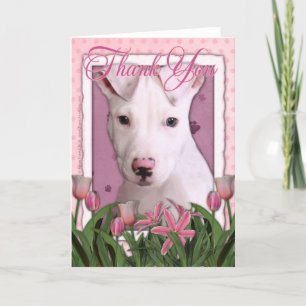Bedankt - Pitbull Puppy - Petey