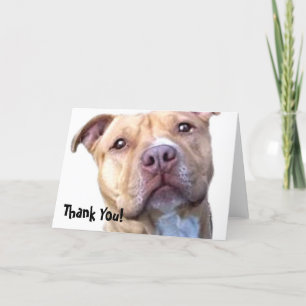 Bedankt Pitbull wenskaart