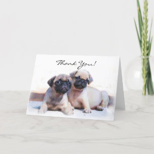 Bedankt Pug puppies wenskaart