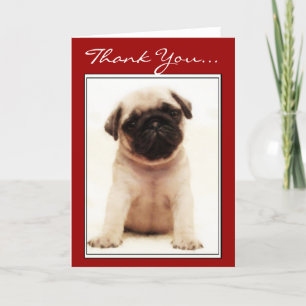 Bedankt Pug Puppy wenskaart
