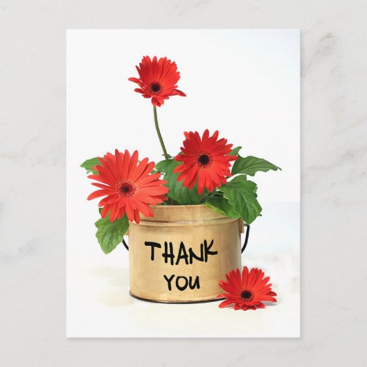 Bedankt Red Gerbera Daisy Flower Pot Post Kaart (Voorkant)
