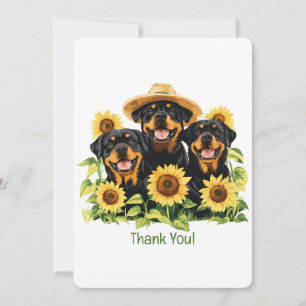 Bedankt Rottweiler honden omringd door zonnebloeme