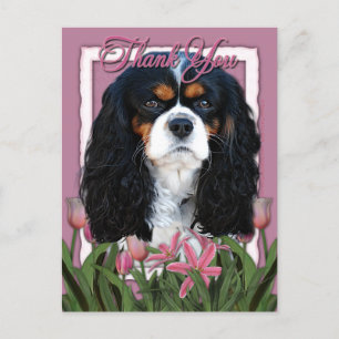 Bedankt - Roze Tulpen - Cavalier - Tri-Color Briefkaart