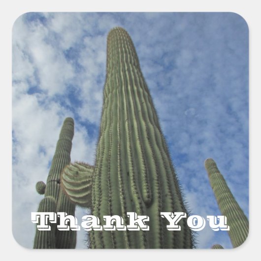 Bedankt Saguaro Cactus Blue Sky Appreciation Vierkante Sticker (Voorkant)