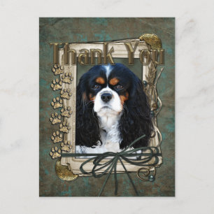 Bedankt - Stone Paws - Cavalier Briefkaart
