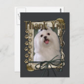 Bedankt - Stone Paws - Maltees Briefkaart (Voorkant / Achterkant)