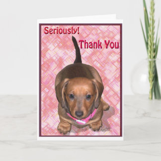 Bedankt van een kleine teckel puppy
